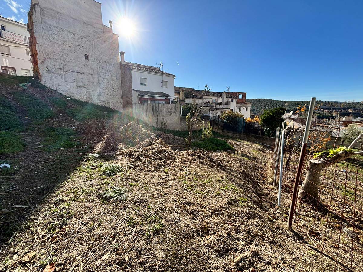 Solar en Venta S001 - Tejares Bajos