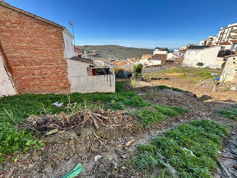 Solar en Venta S001 – Tejares Bajos