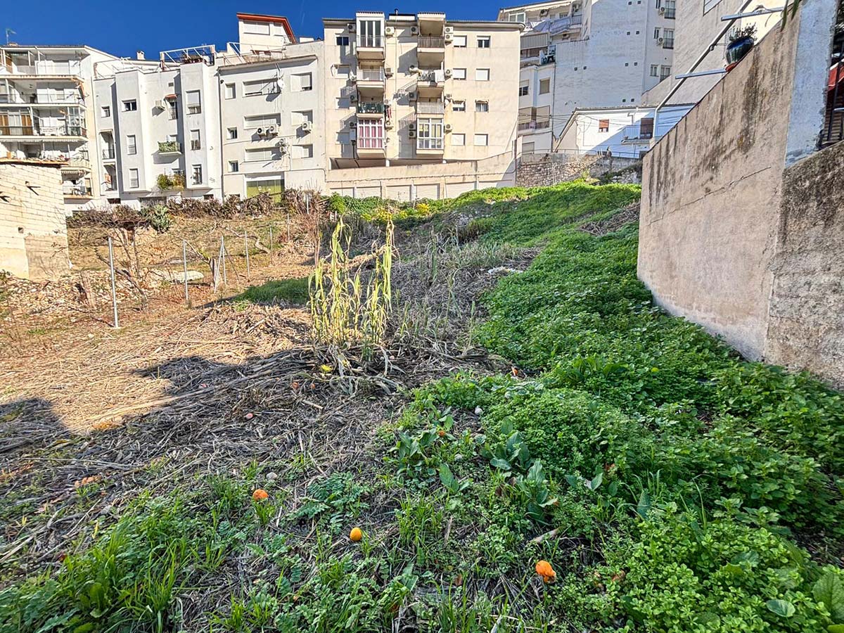 Solar en Venta S001 - Tejares Bajos