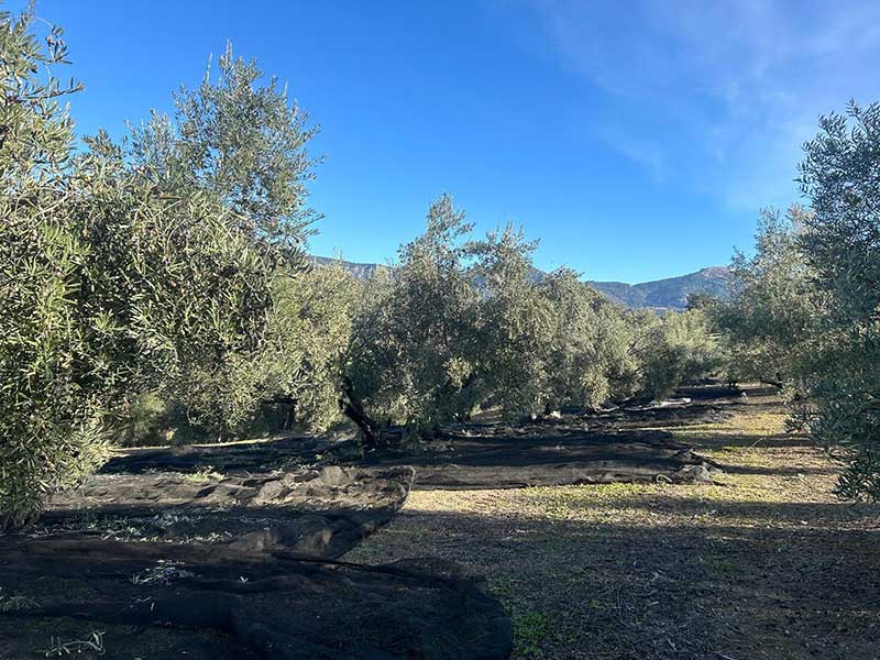 Casa C004 en venta en Hinojares - Crisma Gestión Inmobiliaria